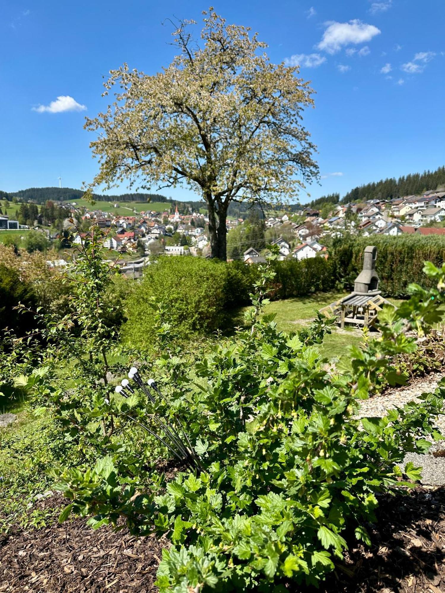 Sonneck Schonach Διαμέρισμα Schonach im Schwarzwald Εξωτερικό φωτογραφία