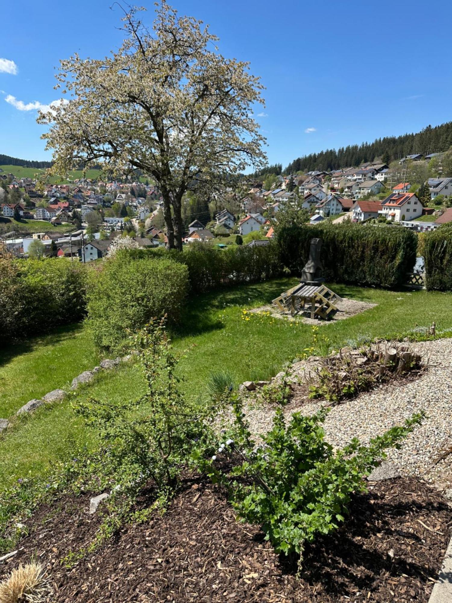 Sonneck Schonach Διαμέρισμα Schonach im Schwarzwald Εξωτερικό φωτογραφία